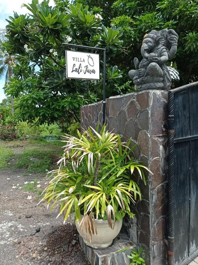 Absolute Beachfront, Paradise, 3br With Private Pool On 1200m2 Of Tropical Land *
